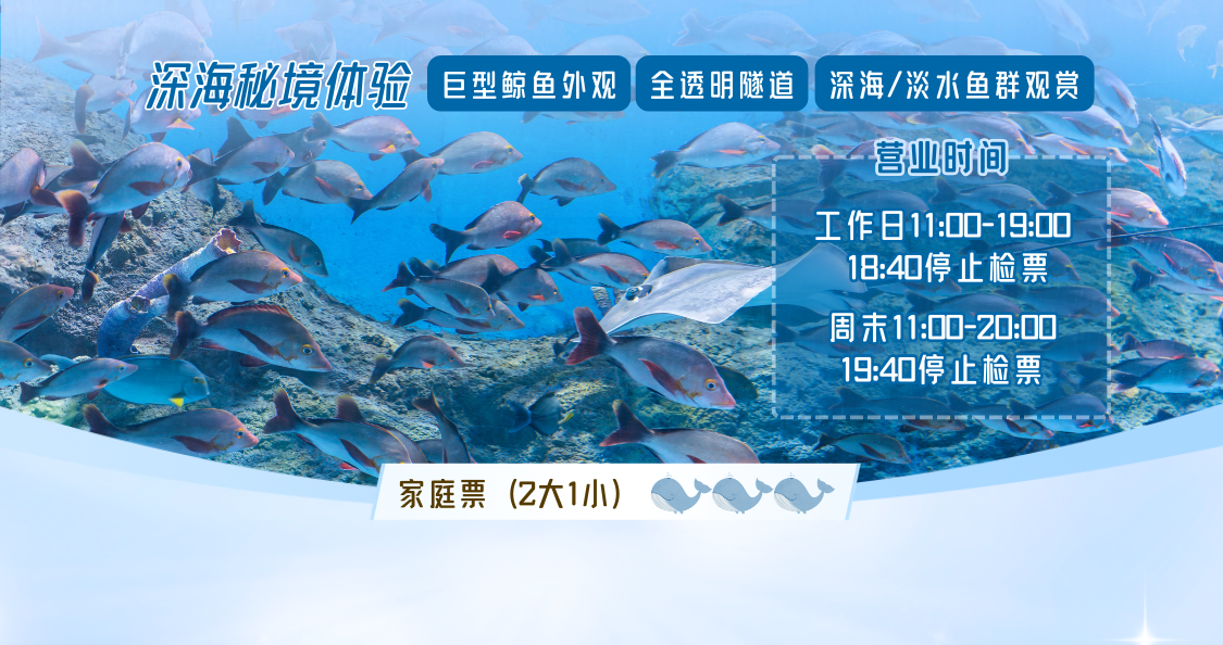 鲸鱼海底世界家庭票（2大1小）（潮州潮人公园）