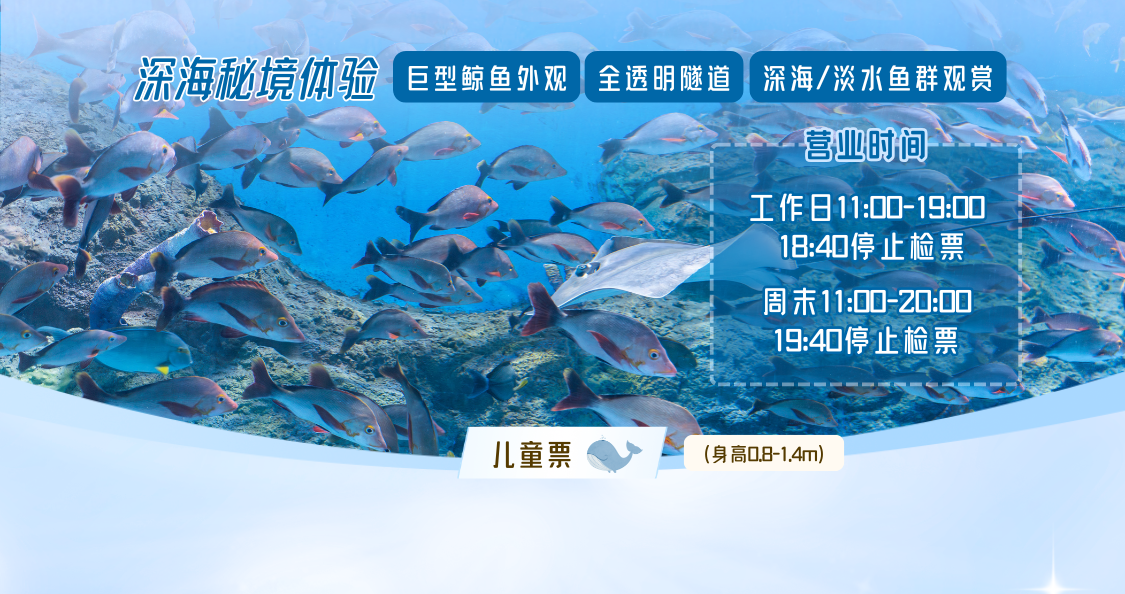 鲸鱼海底世界儿童优惠票（潮州潮人公园）